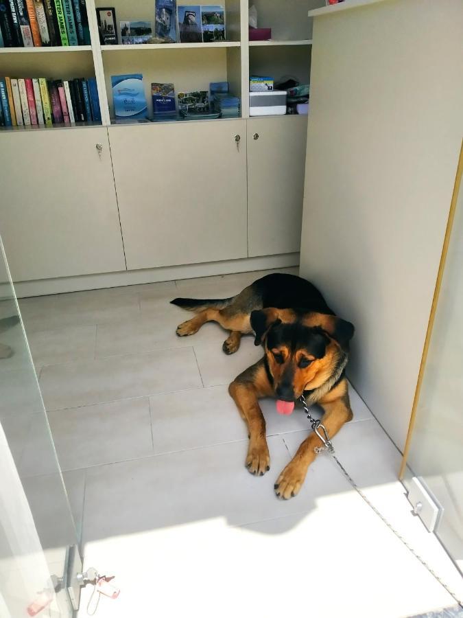 Manganas Studios Paleokastritsa Ngoại thất bức ảnh